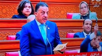   فيصل أبو عريضة: تواصل السيسي مع بن زايد يؤكد موقف مصر الثابت ودعمها للأشقاء العرب