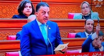 فيصل أبو عريضة: تواصل السيسي مع بن زايد يؤكد موقف مصر الثابت ودعمها للأشقاء العرب