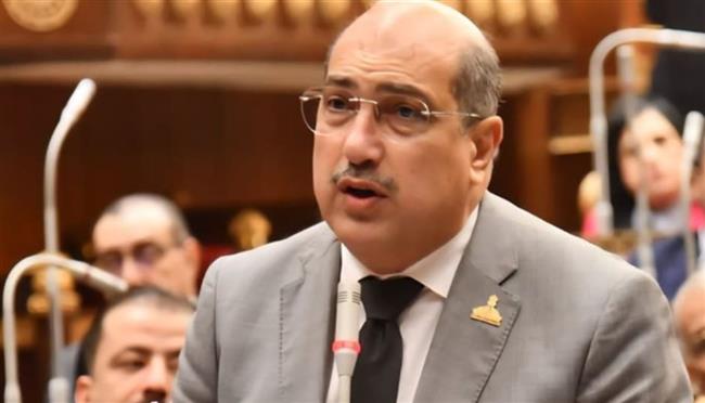 وهبة يقترح إصدار قانون لتنظيم صناعة المحتوى المتخصص على السوشيال ميديا