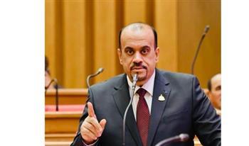 إمام: مصر والإمارات شراكة استراتيجية راسخة