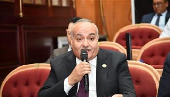   عضو بالشيوخ : العلاقات المصرية الخليجية أقوى من حملات التشويه والأكاذيب