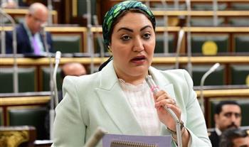 النائبة أسماء الجمال تطالب بإنشاء مدرسة تربية فكرية لذوي الهمم في الصف