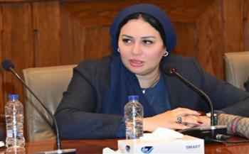   عضو بالشيوخ: التنسيق المصري الإماراتي ركيزة أساسية لمواجهة التحديات الإقليمية