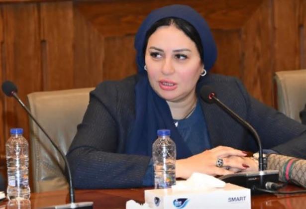 عضو بالشيوخ: التنسيق المصري الإماراتي ركيزة أساسية لمواجهة التحديات الإقليمية