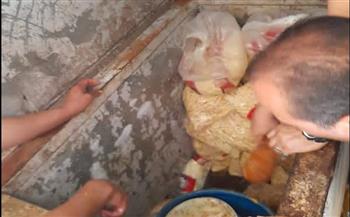    كفر الشيخ.. ضبط لحوم ودواجن غير صالحة بمطوبس