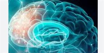   أطعمة ينصح بها الخبراء لدعم صحة الدماغ وتحسين الذاكرة