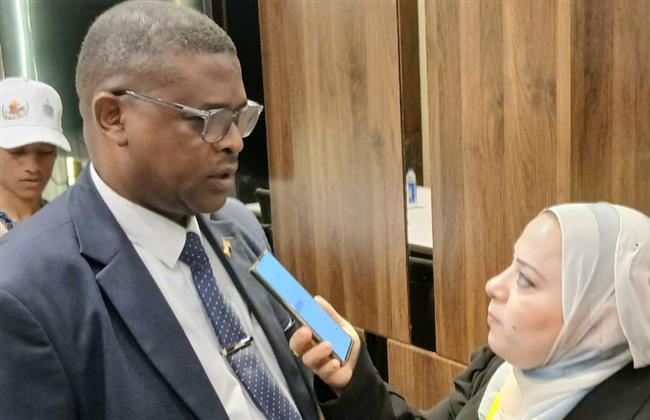 هيئة وادي النيل: الباخرة جاهزة لبدء نقل العائدين السودانيين واستهداف 10 آلاف سودانى