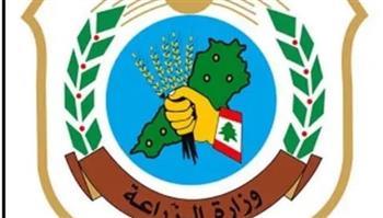 "الزراعة اللبنانية" تُرحّب بقرار السعودية استئناف استقبال الصادرات وتعتبره فرصة لإنعاش القطاع