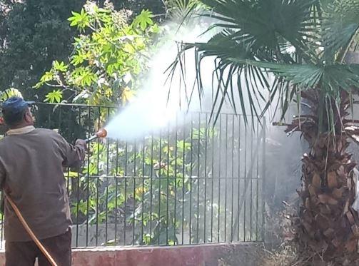 زراعة الإسكندرية فحص ورش النخيل بحدائق الحيوان