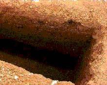   بكلمات سهلة وبسطة.. كيفية النجاة من عذاب القبر