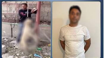   كشف ملابسات فيديو الاعتداء على كلب ضال وربطه حتى النفوق