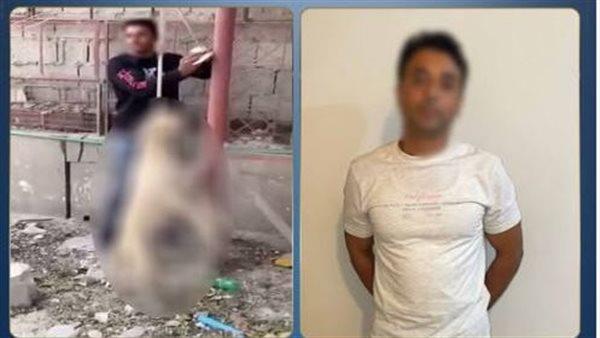 كشف ملابسات فيديو الاعتداء على كلب ضال وربطه حتى النفوق
