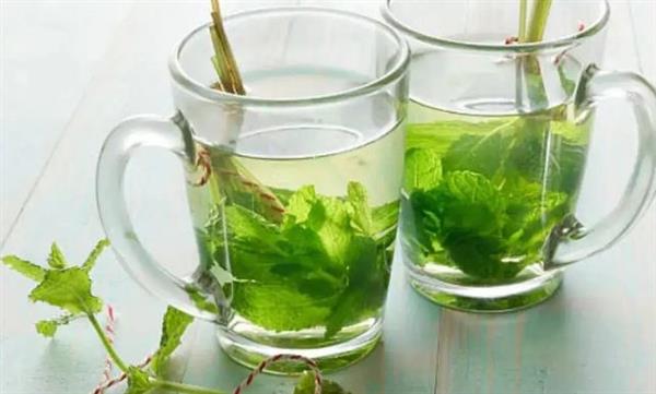 مشروبات طبيعية تدعم صحة المرارة.. خطوات بسيطة قد تساعد في تقليل خطر تكون الحصوات
