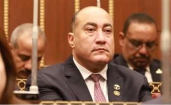 عمرو رشاد: زيارة محمد بن زايد للقاهرة تؤكد مكانة مصر المحورية في محيطها العربي