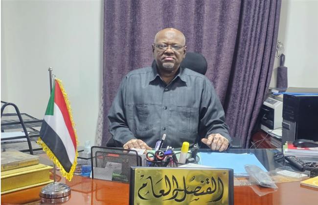 القنصل العام بأسوان يشهد تدشين الباخرة "سيناء" وتفويج 600 عائد إلى السودان