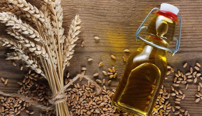 فوائد مذهلة لزيت جنين القمح في العناية بالبشرة ومكافحة التجاعيد