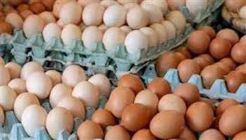   قفزة في أسعار البيض اليوم