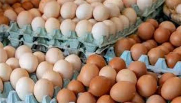 قفزة في أسعار البيض اليوم
