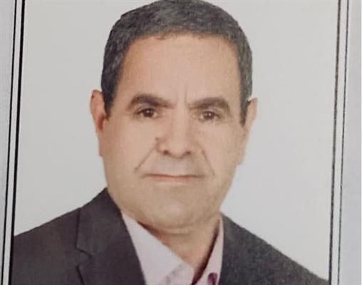 مصر الصامدة