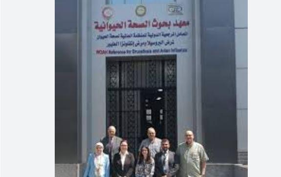بحوث الصحة الحيوانية يستقبل وفدًا من وزارة الزراعة الأمريكية لتعزيز التعاون العلمي المشترك