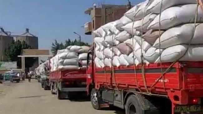 بني سويف تستقبل 346 ألف طن قمح منذ بداية الموسم