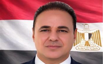 سعيد العماري: ثورة 30 يونيو أنقذت الدولة المصرية وحمت سيناء من مخططات استهدفت أمنها