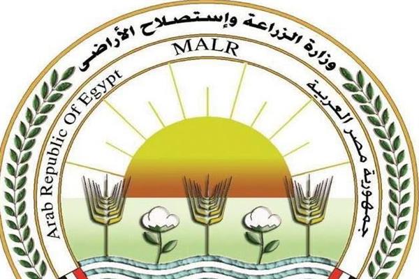 الزراعة تختتم حملة تحصين الماشية بـ8 ملايين جرعة