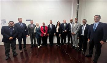   وزير الخارجية يلتقي بأعضاء الجالية المصرية في كوريا الجنوبية