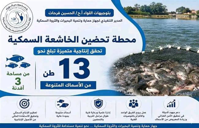 محطة تحضين الخاشعة السمكية تحقق إنتاجية متميزة تبلغ نحو 13 طنًا من الأسماك المتنوعة