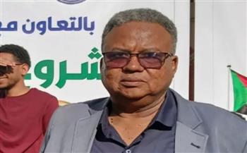   كاتب سوداني يحذر من حملات تستهدف العلاقات المصرية السودانية