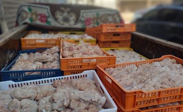 ضبط أكثر من نصف طن دواجن فاسدة بمطعم شهير بالفيوم