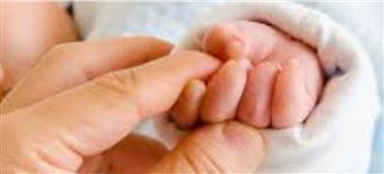   تراجع تاريخي في معدل المواليد في مقاطعة كيبيك الكندية