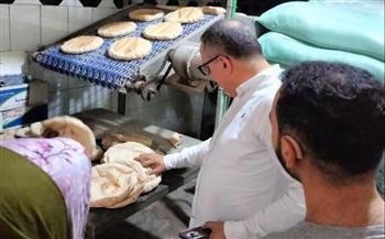 محافظ الدقهلية يتابع جهود مديرية التموين وتحرير 485 محضرًا خلال يومين