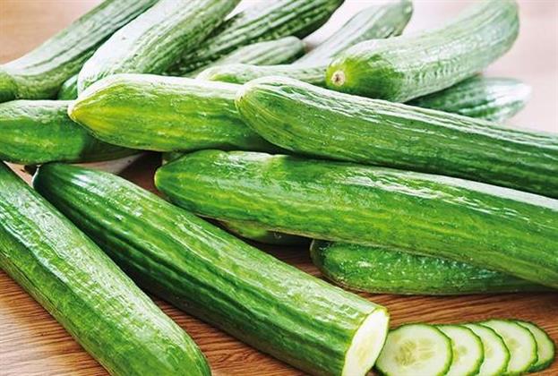 الخيار والفقوس.. هل يحتويان على سموم؟ أم أنهما من أفضل خضروات الصيف؟