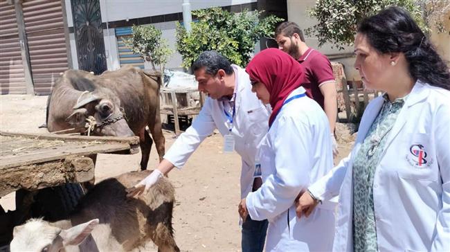 محافظ الدقهلية يتابع القوافل البيطرية المجانية