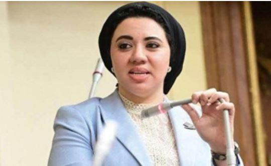 نائبة بالشيوخ تطالب بغرامات وعقوبات رادعة لمخربي “الفان زون” عقب مباراة مصر ونيوزيلندا