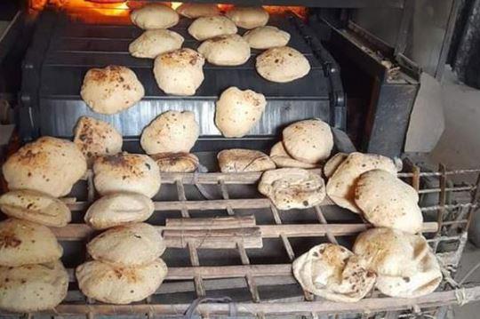 الغربية .. تحرير 77 محضر مخالفات ضد أصحاب مخابز