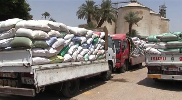 سوهاج تعادل إجمالي توريد قمح العام الماضي وتتوقع بلوغ 200 ألف طن بحلول أغسطس