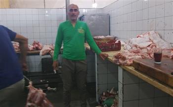 ضبط والتحفظ على أكثر من 29 طنًا من الأغذية واللحوم والدواجن الفاسدة بالإسكندرية