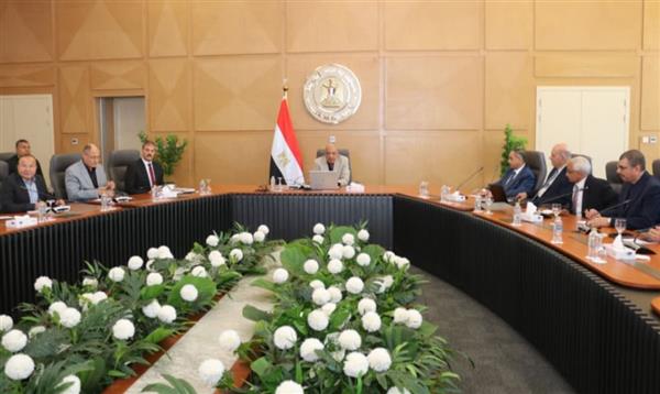 وزير الكهرباء يبحث مع أساتذة الجامعات تطوير الطاقة المتجددة