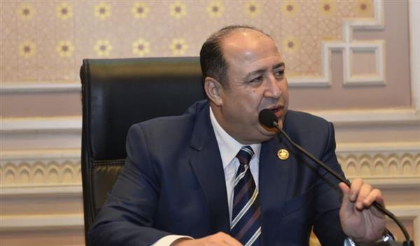 حسن جعفر: ثورة 30 يونيو أعادت الدولة إلى مسارها الصحيح