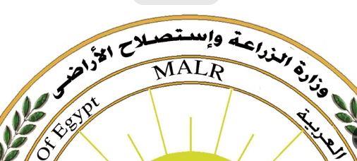 "الزراعة" تُطلق برنامجًا لتدريب 50 من العاملين بالتنمية الريفية 