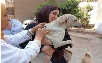   محافظ الجيزة: تحصين 7674 وتعقيم 1294 كلب بشلتر إمبابة بالتعاون مع كلية الطب البيطرى