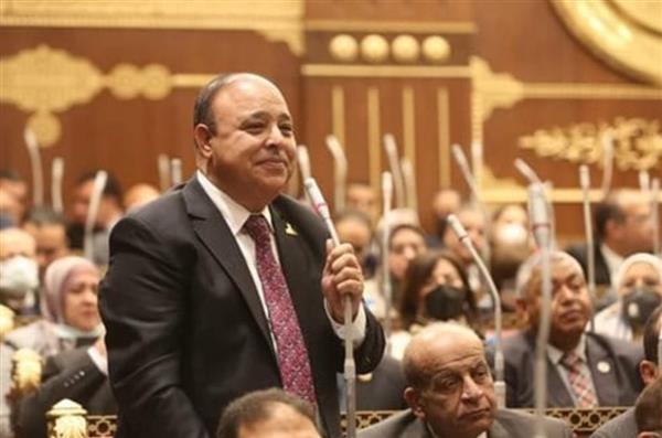برلماني: ثورة 30 يونيو أنقذت الدولة المصرية وأرست دعائم الجمهورية الجديدة بقيادة الرئيس السيسي