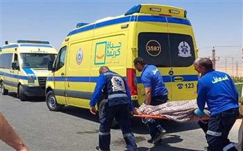   بالأسماء: إصابة 19 فى حادث الطريق الإقليمي بالمنوفية 
