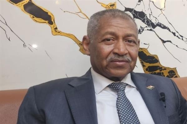 سفير السودان بالقاهرة يهنئ الرئيس السيسي والشعب المصري بذكرى ثورة 30 يونيو