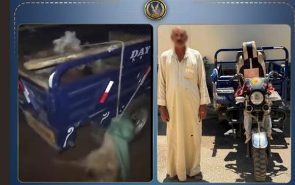 الداخلية تكشف ملابسات فيديو تقييد كلبين داخل تروسيكل بالمنوفية