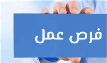   "العمل": 4504 فرص عمل للشباب بـ77 شركة خاصة في 14 محافظة.. التفاصيل الكاملة