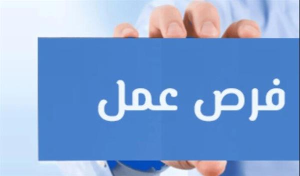 "العمل": 4504 فرص عمل للشباب بـ77 شركة خاصة في 14 محافظة.. التفاصيل الكاملة