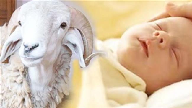 حكم عمل العقيقة من مال المولود.. الإفتاء تُجيب